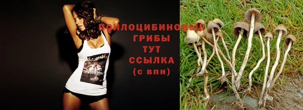 соль курить ск Строитель