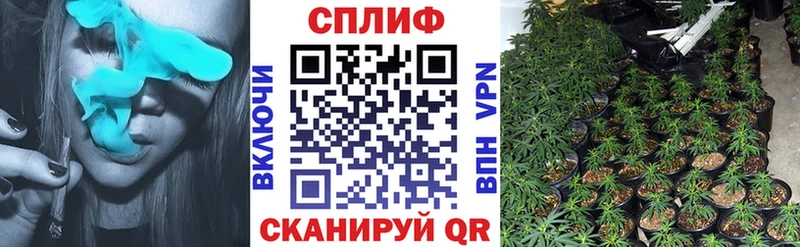 Купить где  Хабаровск  МАРИХУАНА марихуана 